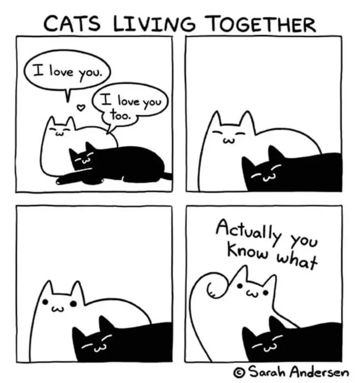 Cats when they live together - cat, Comics