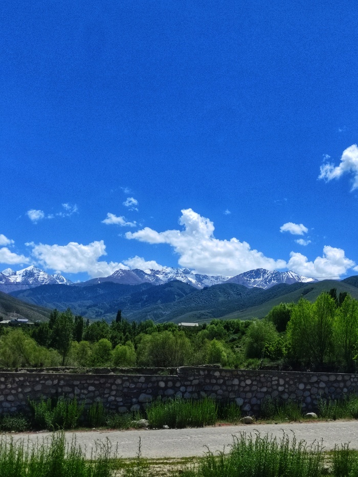 Горы и забор.