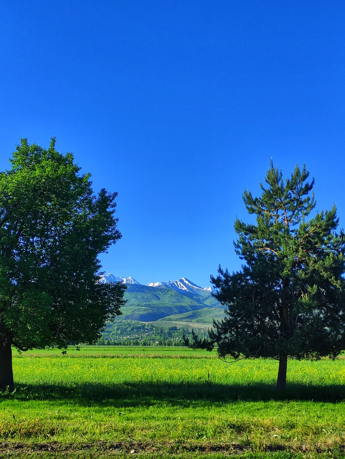 Вид на выезде из Каракола.