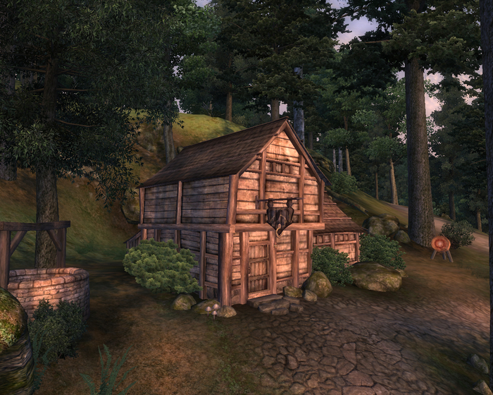    The Elder Scrolls, The Elder Scrolls IV: Oblivion, Bethesda, RPG, , ,  , , , 