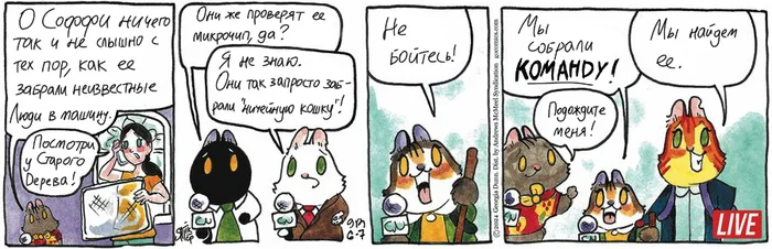 Koteikin News from 06/07/2024 - My, Translation, Comics, Koteikin news (comic), cat