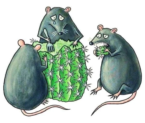 Mice and cactus....new series - news, Politics, SPIEF, WADA