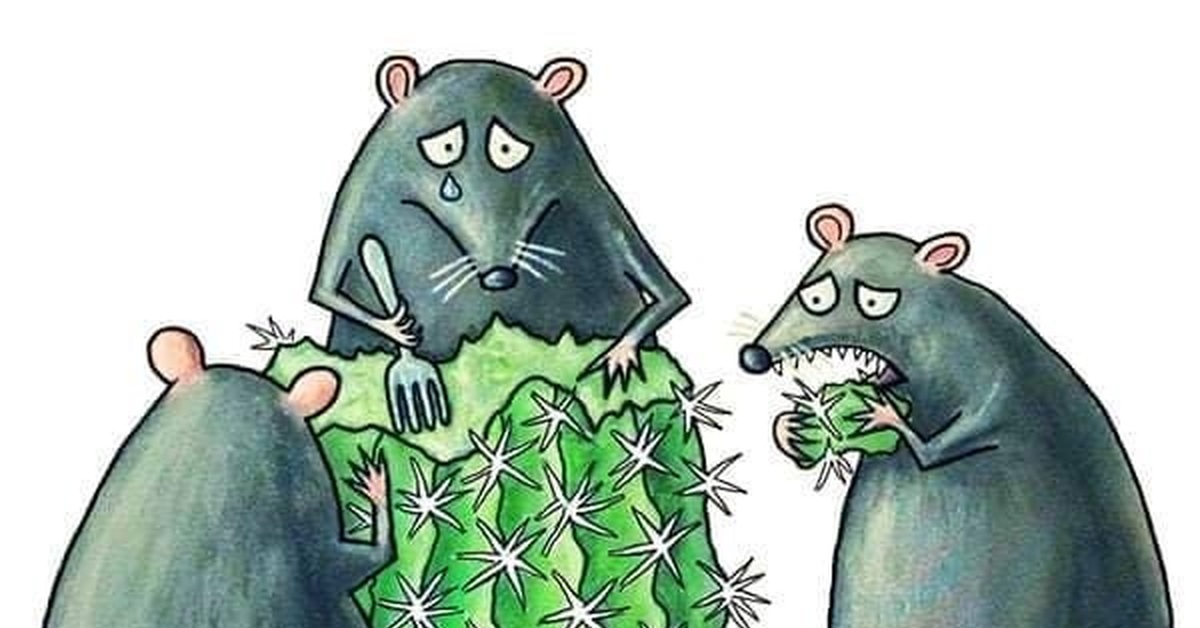 Мыши и кактус....новые серии | Пикабу