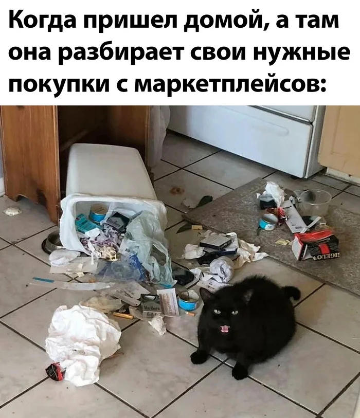 Life situation - cat, Picture with text