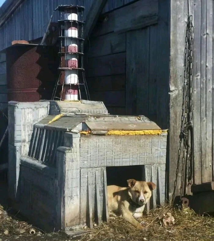 Energobarbos - Dog, Booth