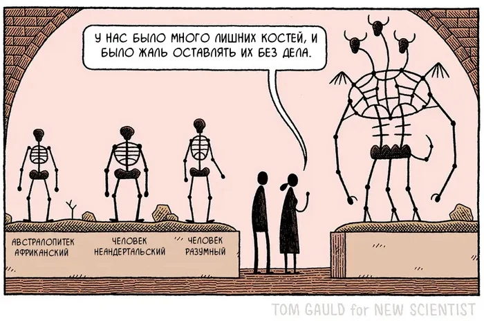 When there are a few extra parts left - Comics, Humor, Tom gauld, Anthropology, Translated by myself, Archeology, Bones, Anthropologists