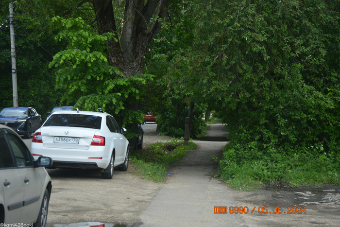 1-я Рыбная улица