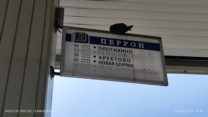 Ждём автобус... и очень долго ждём