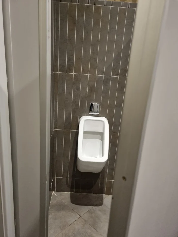 Everything you saw for the first time - My, Toilet, Urinal, Rg45, Longpost