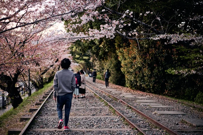Hanami place in Kyoto. Abandoned railway - My, The photo, Japan, Asia, Sakura, Car, Travels, Longpost