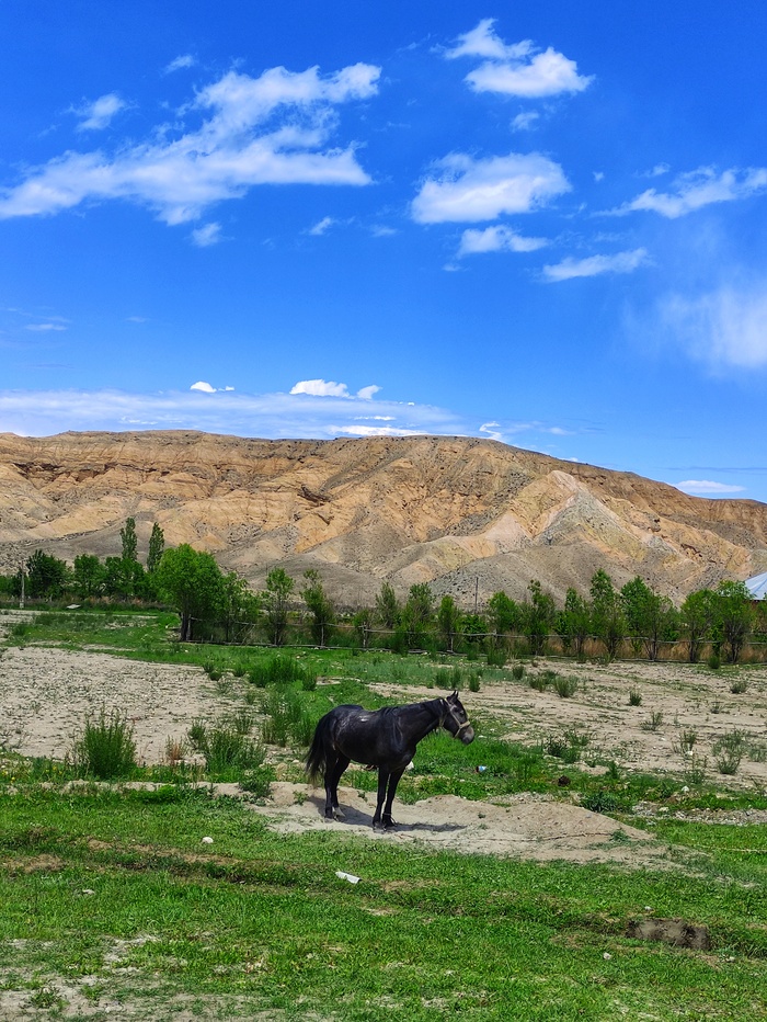 Сделаю вид, что его не вижу, может уедет...