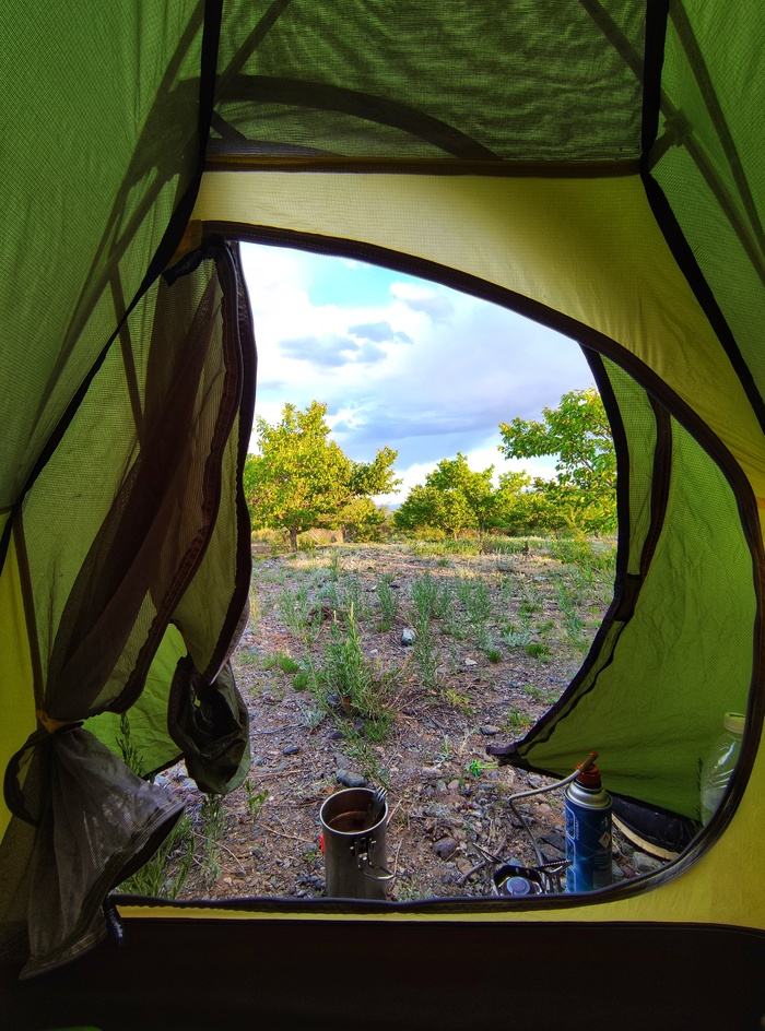 Абрикосовый привал.