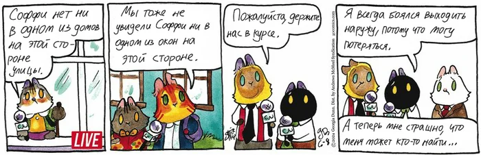 Koteykin News from 06/08/2024 - My, cat, Comics, Koteikin news (comic), Translation
