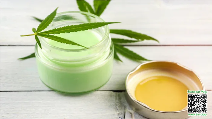 Canna cream for burns - Scientists, Biology, Research