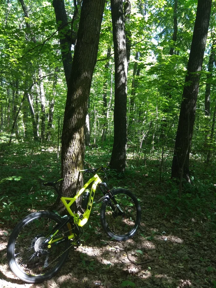 The first post, I decided that it was great and beautiful. Here - My, Camping, A bike, First post, Longpost