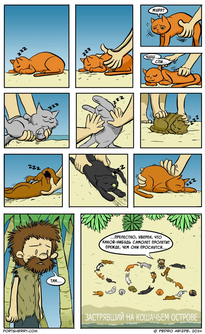 Cat Island - My, Comics, Translated by myself, cat, Island, SOS, Signal, Pedro arizpe