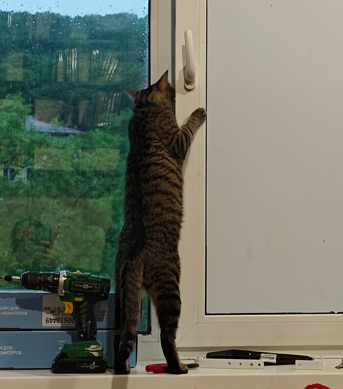 Когда кожаный мешок пердит сильнее обычного