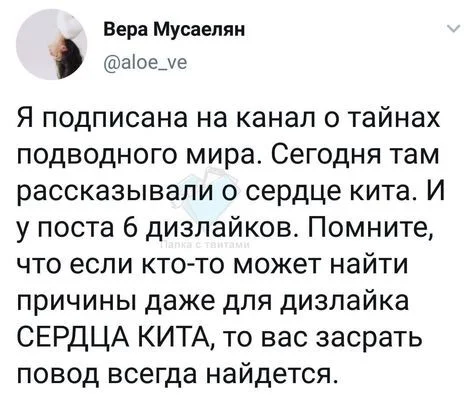 Про дизлайки - Скриншот, Twitter, Юмор, Кит, Дизлайки