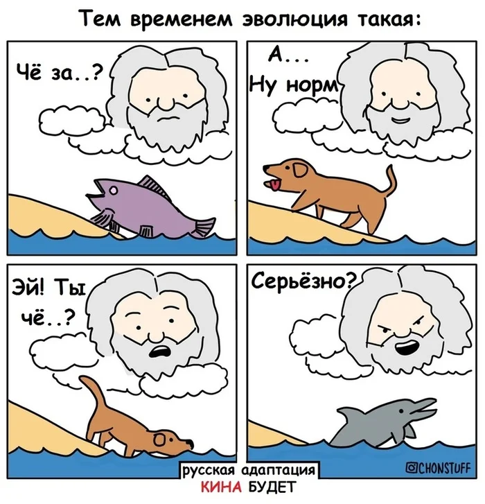 About dolphins - Comics, Kina will, Dog, Dolphin, Evolution