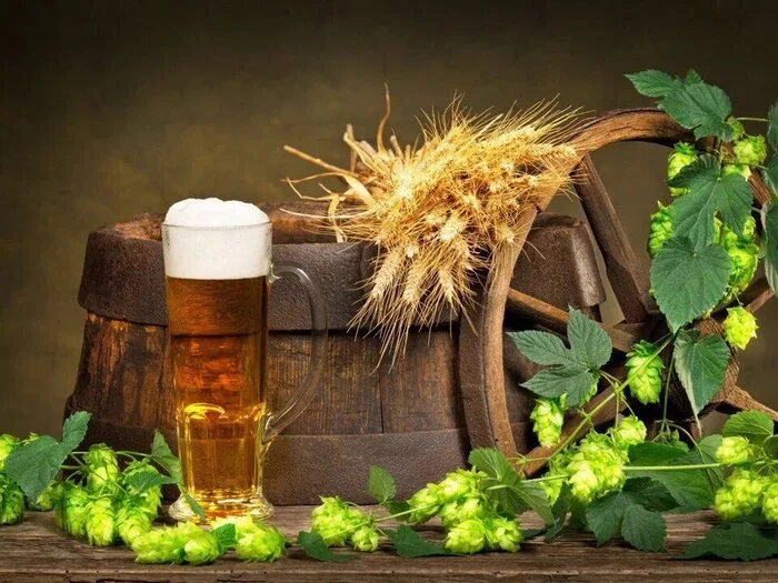 Brewer's Day! - Beer, Brewing, Brewery, Alcohol, Malt, Hop