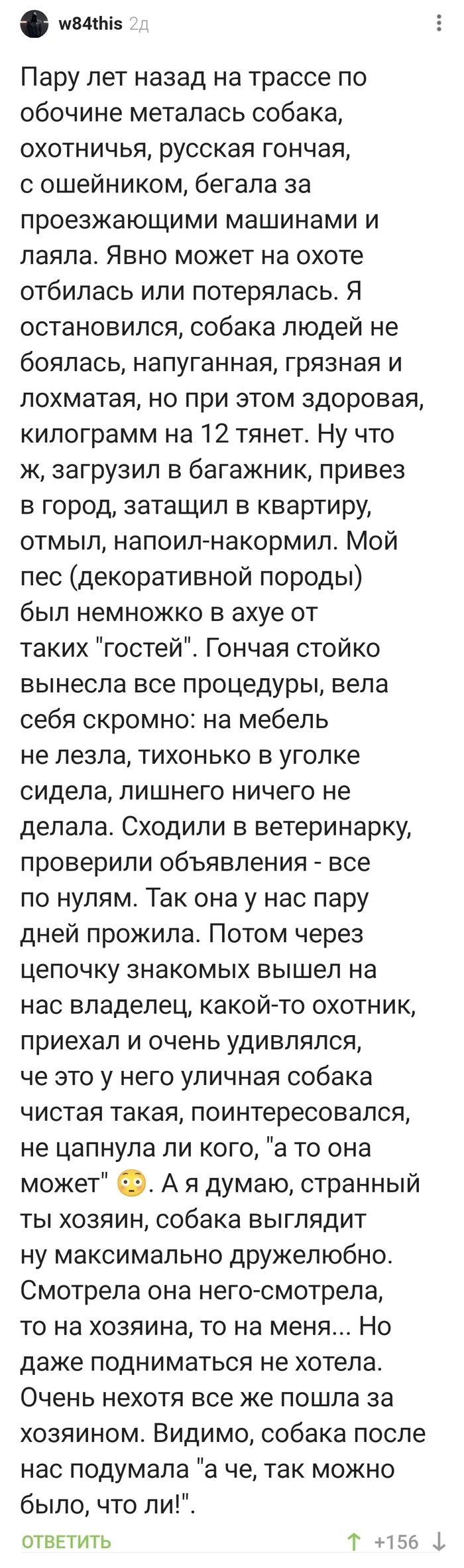 А можно я у вас останусь? - Собака, Потеряшка, Хозяин, Комментарии на Пикабу, Длиннопост, Мат, Скриншот