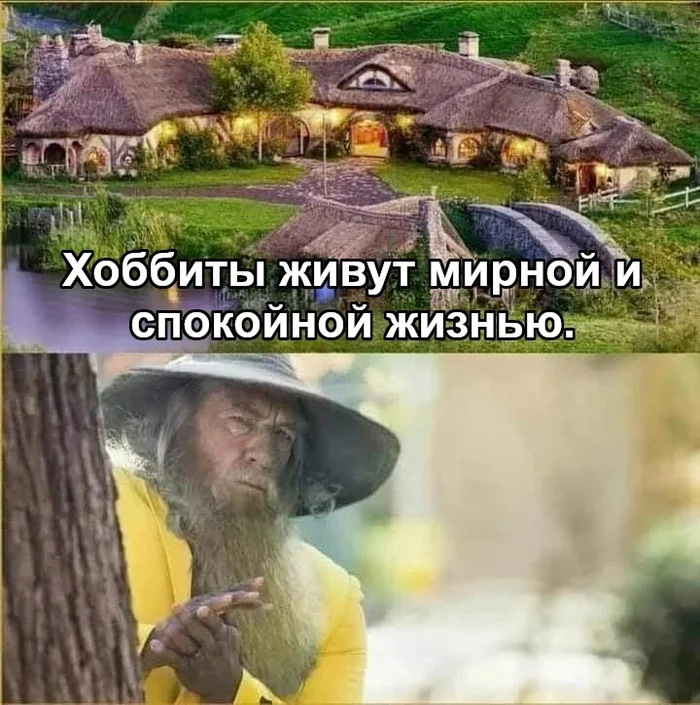 Gandalf: I want to make a fuss - Lord of the Rings, Gandalf, The hobbit, Shire, Picture with text, Translated by myself, VKontakte (link)