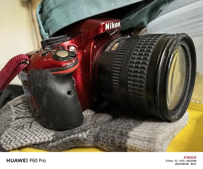 090624/Huawei P60 Pro and Kaminoki! Unpacking, photo\9994 - My, Purchase, Smartphone, Mobile photography, Positive, Longpost