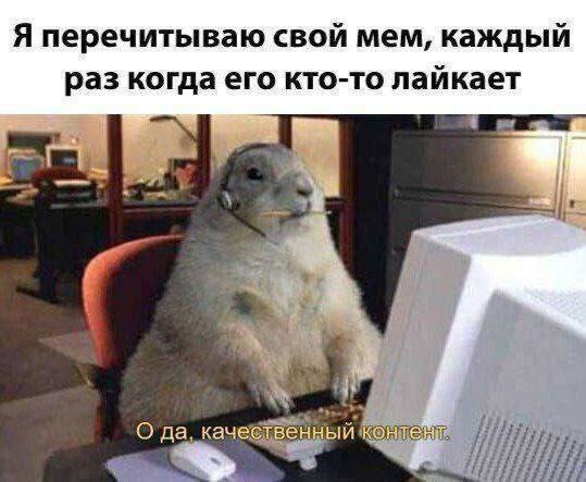 This is me - Gopher, Solo, Work, Picture with text, Content