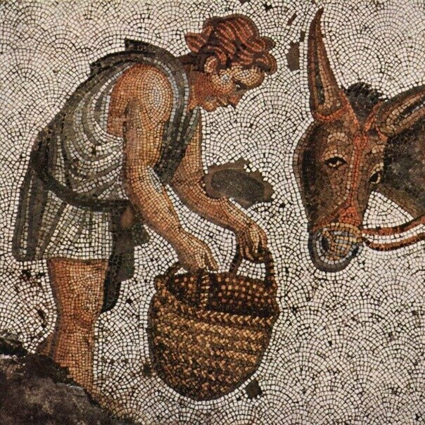 The loving donkey, or Two pinches of immortality - My, Story, Antiquity, Metamorphosis, Longpost