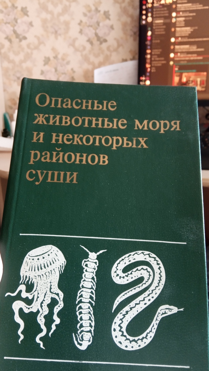 Спасибо Ростелекому за испорченные выходные | Пикабу