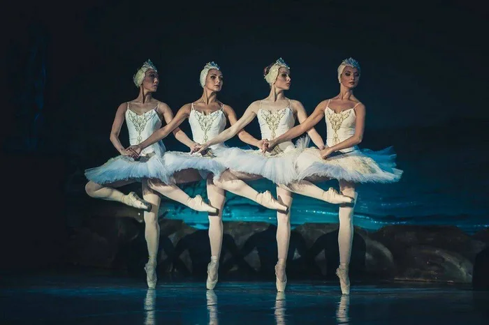 ABOUT THE FUSS AROUND BALLET - Longpost, Birds, Art, Money, Men and women, Ballet, История России, Literature, The culture, My