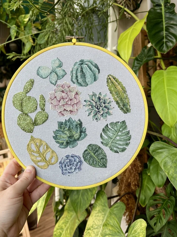 How I was pirated - My, Succulents, Embroidery, Cross-stitch, Needlework with process, Piracy, Chinese goods, Intellectual property, Life stories, Copyright, Longpost, Friday tag is mine