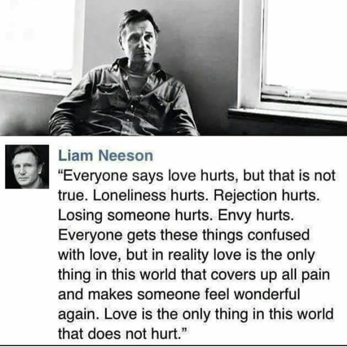 About pain and love - The senses, Wisdom, Love, Pain, Quotes, Translated by myself, Liam Neeson