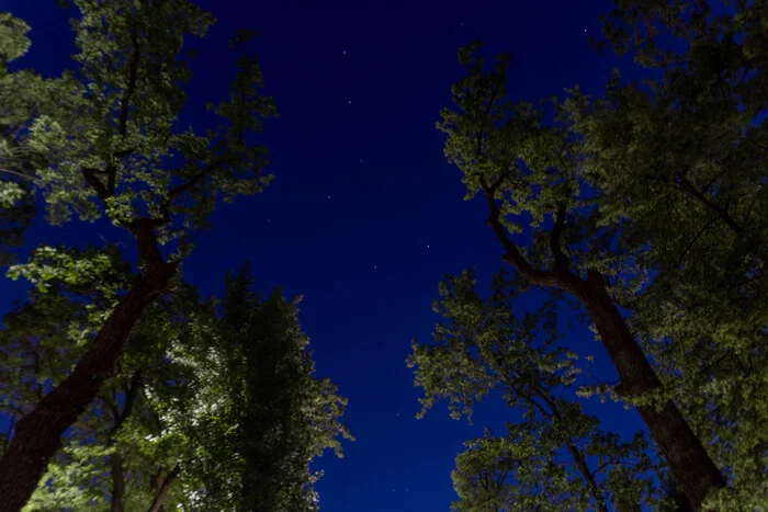 Night photo - My, Images, The photo, Beautiful view, Big Dipper, Night shooting, Astrophoto