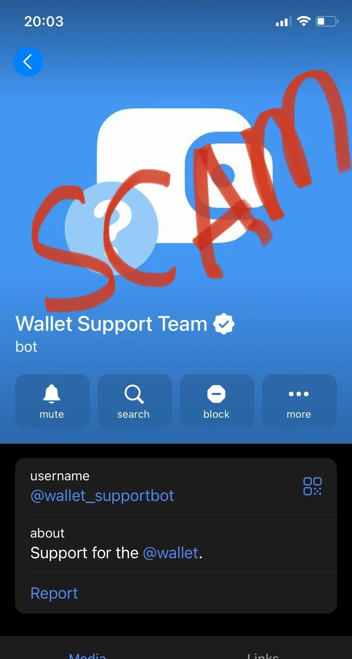 Telegram Wallet blocks user funds without explanation - My, Survey, Question, Ask Peekaboo, Telegram, Fraud, Longpost