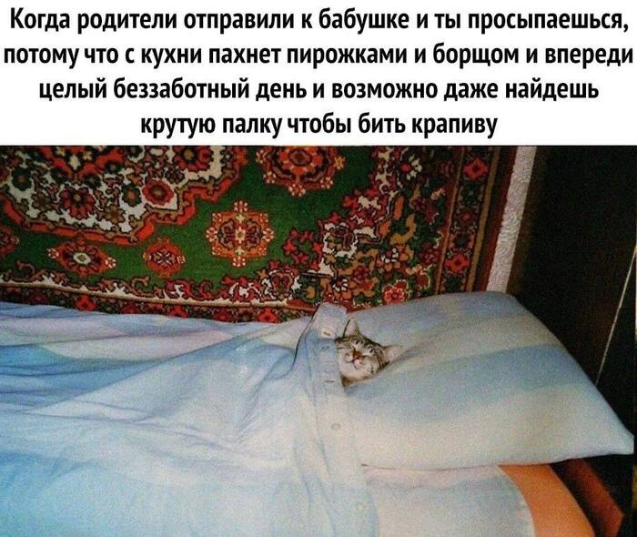 I want to go back - Humor, Picture with text, Memes, Images, Childhood, Dacha, Grandmother, Grandfather, Age, Sad humor, cat