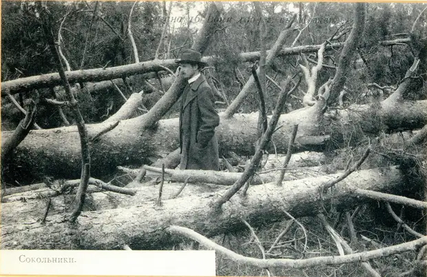 Ураган, потрясший Москву: смерч 16 (29) июня 1904 года - Моё, Краеведение, Заброшенное, Москва, История России, Катастрофа, Торнадо, Длиннопост