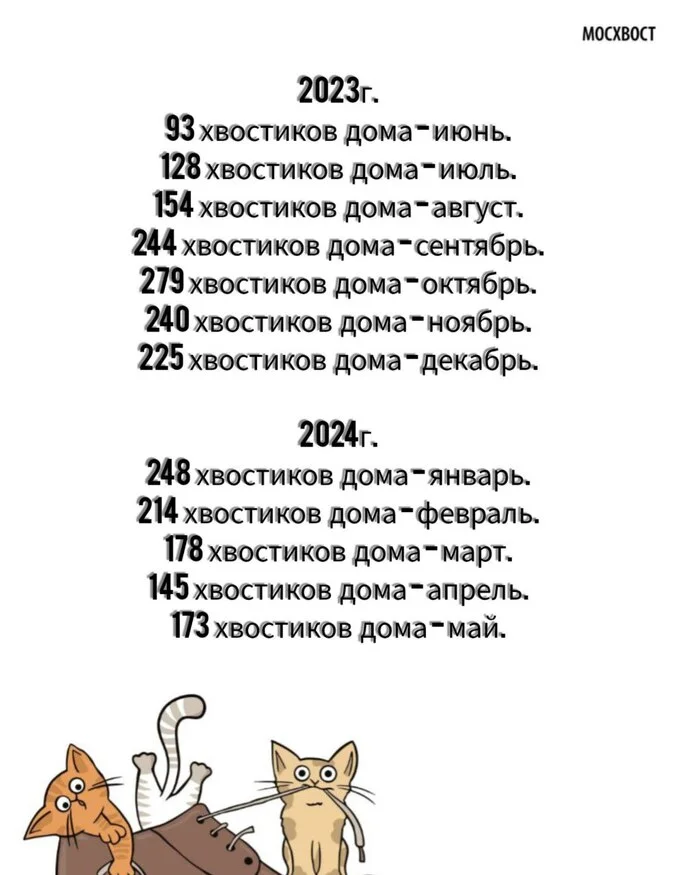 Moskhvost device statistics - My, Homeless animals, Animal shelter, Shelter, No rating, Fat cats, Pet the cat, Black cat, cat, In good hands, Is free, Pets, Animals, Dog, Cats and dogs together, Dog lovers, Stray dogs, Kittens