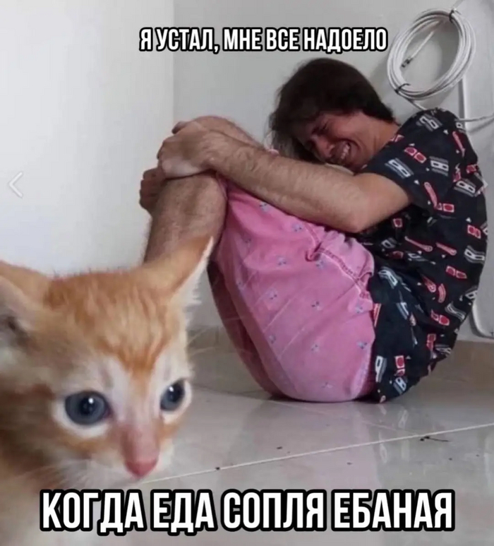 ���� �������