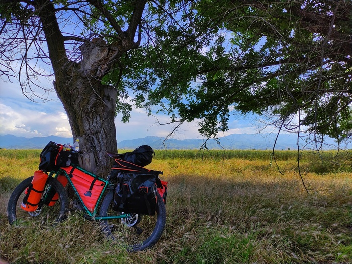 Конь на фоне гор!