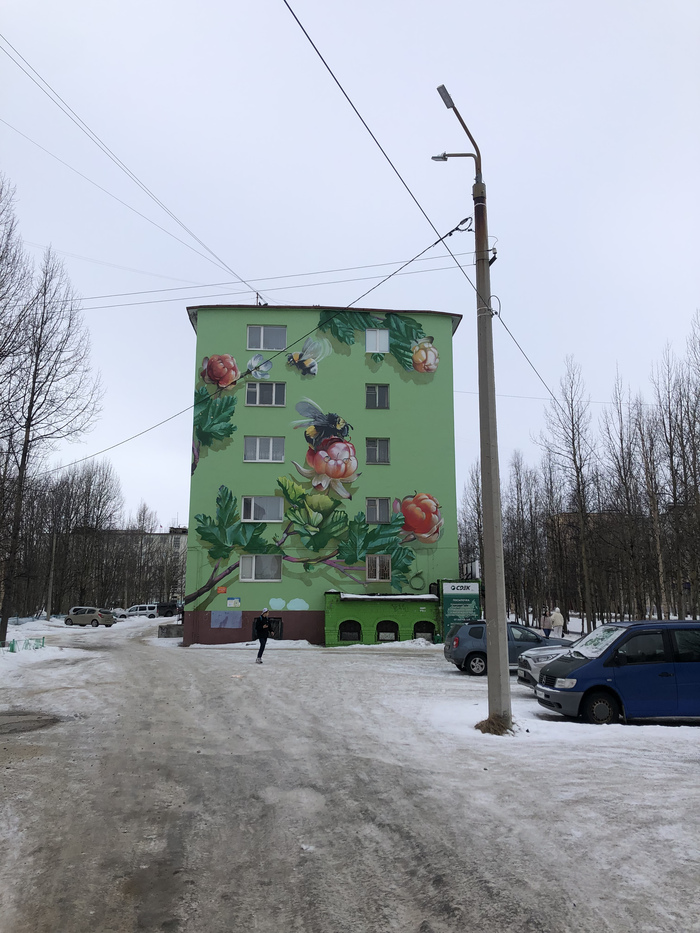 Художники Мончегорска рисуют муралы