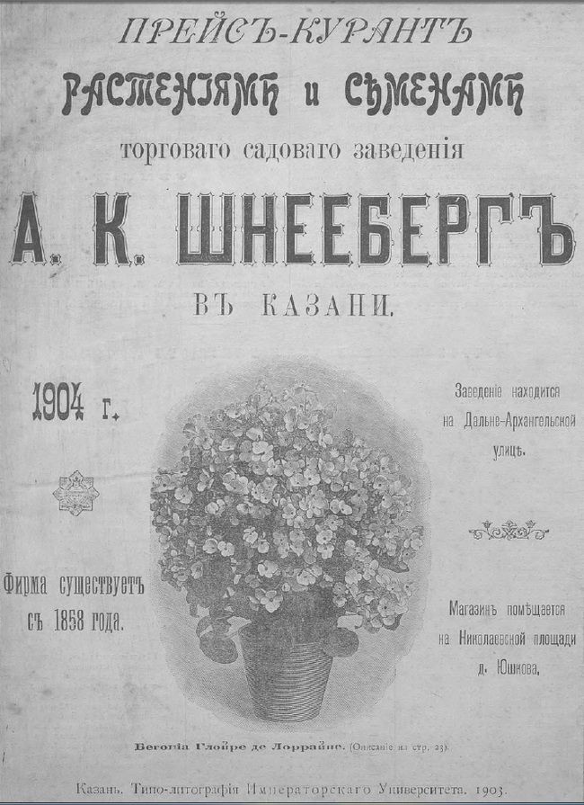 Торговое садовое заведение Альберта Карловича Шнееберга, г. Казань [1858 – 1910] Часть 1 - Моё, Краеведение, История города, Российская империя, СССР, Казань, Татарстан, Города России, История России, Путешествие по России, Длиннопост