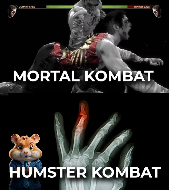 Mortal Hamster Kombat - My, Mortal kombat, Hamster, Picture with text, Humor, Sad humor, Injury, Hamster Kombat