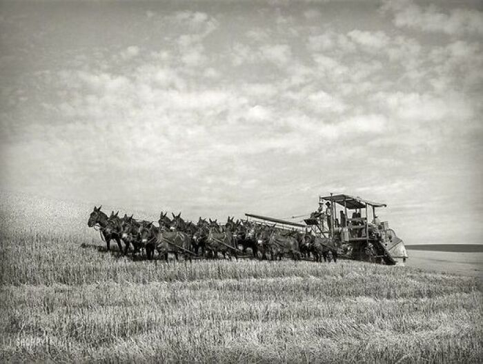 25 historical photographs [Part 2] - The photo, Old photo, Historical photo, Black and white photo, Longpost