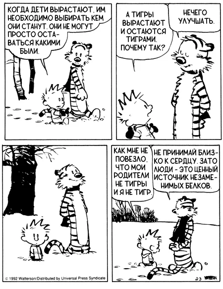 Calvin and Hobbes #202 - Calvin and Hobbs, Translated by myself, Comics