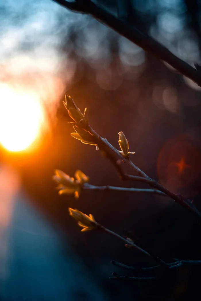 Spring - My, Spring, Town, Sunset, The photo, Moscow, Walk