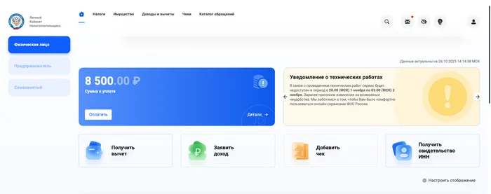 Как бесплатно узнать запрет на выезд из Росиии за границу - Судебные приставы, ФССП, Госуслуги, ФНС, Пограничный контроль, Задолженность, Длиннопост