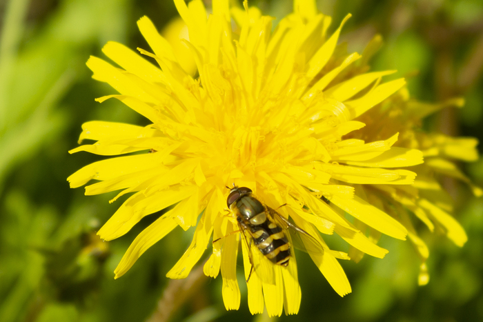 Фото с ТДС в тайге. Яркие краски