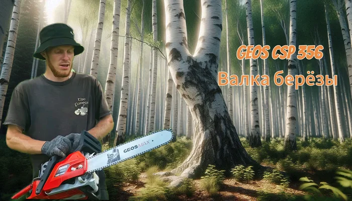 Felling birch with a GEOS CSP 356 chainsaw: step-by-step instructions #GEOS - My, Forest, Tree, Chainsaw, Video, Youtube, Tree felling