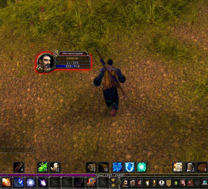   WoW .  13. ? World of Warcraft, ,  , , , 